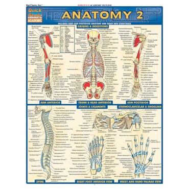 Barcharts Anatomy 2